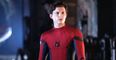 EXCLUSIVE: Tom Holland reveals he was meant to have a cameo in Spider-Man: Into The Spider-Verse