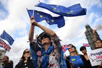 Leave and Remain supporters clash outside Westminster