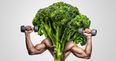 Building muscle on a vegan diet: everything you need to know