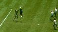 The young football fans recreating classic goals in their garden