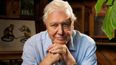 David Attenborough to teach BBC geography classes for children at home