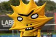 Rating the best and worst football mascots around