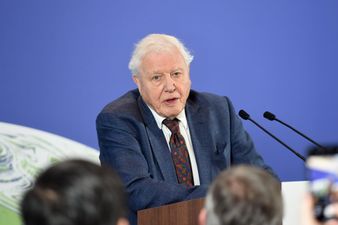 Sir David Attenborough and rapper Dave team up for Planet Earth special episode