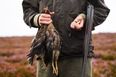 Government exempt hunting and grouse shoots from Rule of Six COVID law