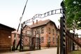 10% of young Americans believe that Jews caused the Holocaust says new study