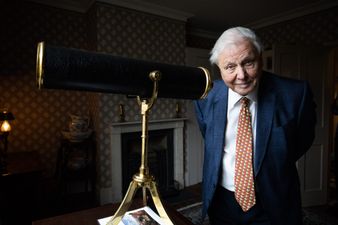 David Attenborough becomes fastest person to get a million Instagram followers