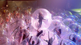 Fans in plastic bubbles watched The Flaming Lips perform, also in plastic bubbles