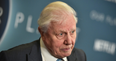 Extinction Rebellion confront David Attenborough at his home after he criticised the group