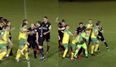 Welsh Premier League match descends into brawl with FOUR late red cards