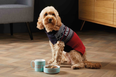 Aldi is now selling matching Christmas jumpers for you and your dog