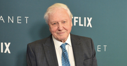 Sir David Attenborough ‘punched the air’ when Donald Trump lost the presidential election