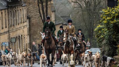 Boxing Day hunts go ahead in spite of COVID-19 restrictions