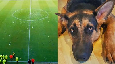 Bad dog causes Boxing Day football match to be abandoned