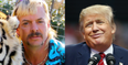 Joe Exotic fails to receive pardon from US president Donald Trump