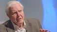 David Attenborough: Anti-vaxxers are ‘ignorant minority’