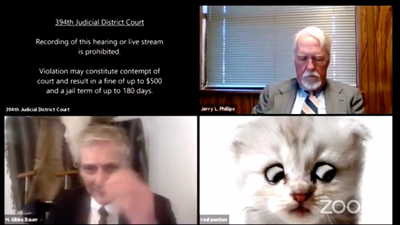 Lawyer insists he’s ‘not a cat’ after accidentally using filter on Zoom call