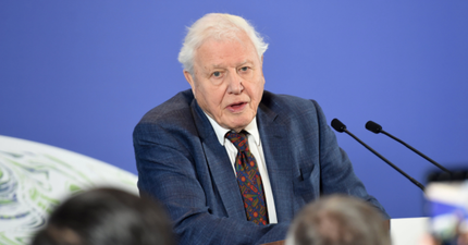 Sir David Attenborough’s warning about climate change is ‘overly simplistic’, says scientist