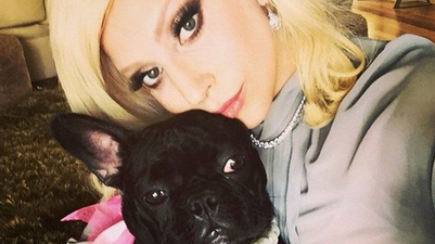 Lady Gaga’s dog walker shot as her two dogs are stolen