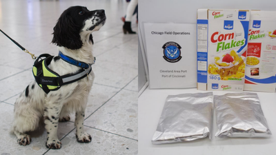 US Customs intercept 20kg of cocaine hidden on corn flakes