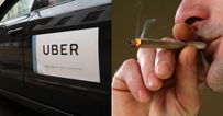 Uber CEO says company are considering cannabis delivery