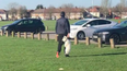 RSPCA searching for man seen carrying dog by collar in park