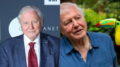 Brand new David Attenborough nature doc drops on Netflix today