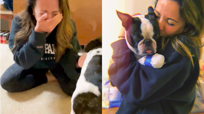 Missing dog returned to owner after 290 days in emotional reunion