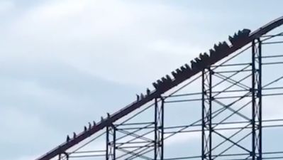 Blackpool rollercoaster ‘breaks down near top forcing passengers to walk down’