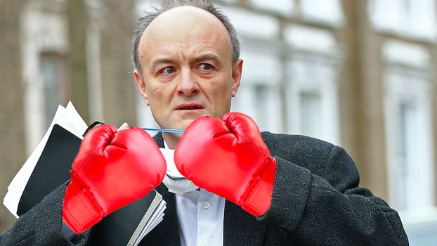 Dominic Cummings with a pair of boxing gloves photoshopped over his hands to appear as though he is ready to fight