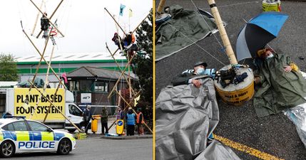 Animal rights protestors stage blockade at McDonald’s distribution centres