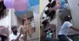 YouTuber arrested for tying dog to balloons and sending into the air