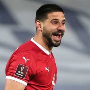 Aleksandar Mitrovic