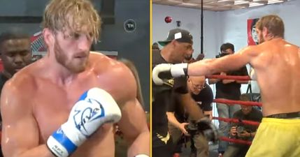 Logan Paul training footage proves he has no chance against Mayweather