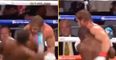 Mayweather actually ‘knocked out’ Logan Paul but ‘held him up’ during fight