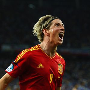 Fernando Torres