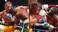 Floyd Mayweather and Logan Paul made vastly different amounts for fight