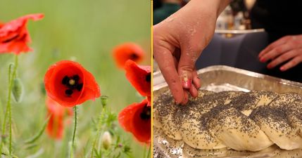 Man says he failed drug test for job after ‘eating poppy seed bread’