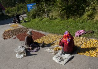 North Korea is running out of food as a bunch of bananas ‘now costs $45’