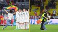 Fan invades pitch with rainbow flag before Germany vs Hungary