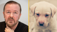 Ricky Gervais lobbies for ban on all animal experiments in UK