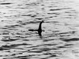 New Loch Ness Monster sighting as creature spotted for second time in 11 days