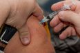 Nurse in Germany suspected of replacing Covid vaccinations with saline solution