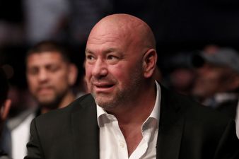 Dana White responds to Jake Paul threatening to KO him