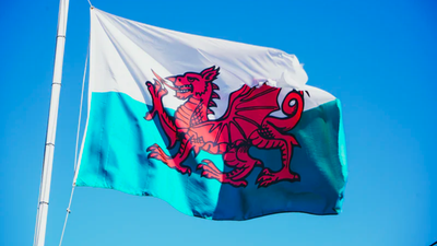 People demand dragon on Welsh flag be given a penis