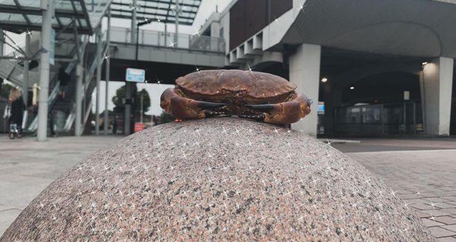 The crab at Southend station on its way to the sea