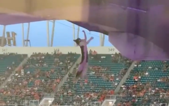 A dangling cat was saved by fans at an American football game