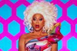 A carcass-eating fly has been named after RuPaul
