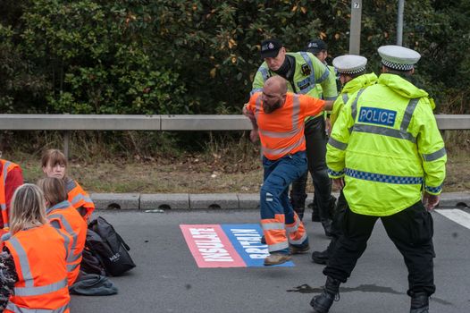 Mum has stroke after M25 protest delays