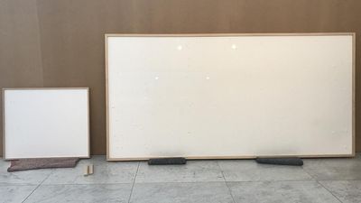 Artist turns in blank canvases after being given $84,000 for museum art