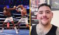 Andy Ruiz claims Anthony Joshua was ‘scared’ against Oleksandr Usyk